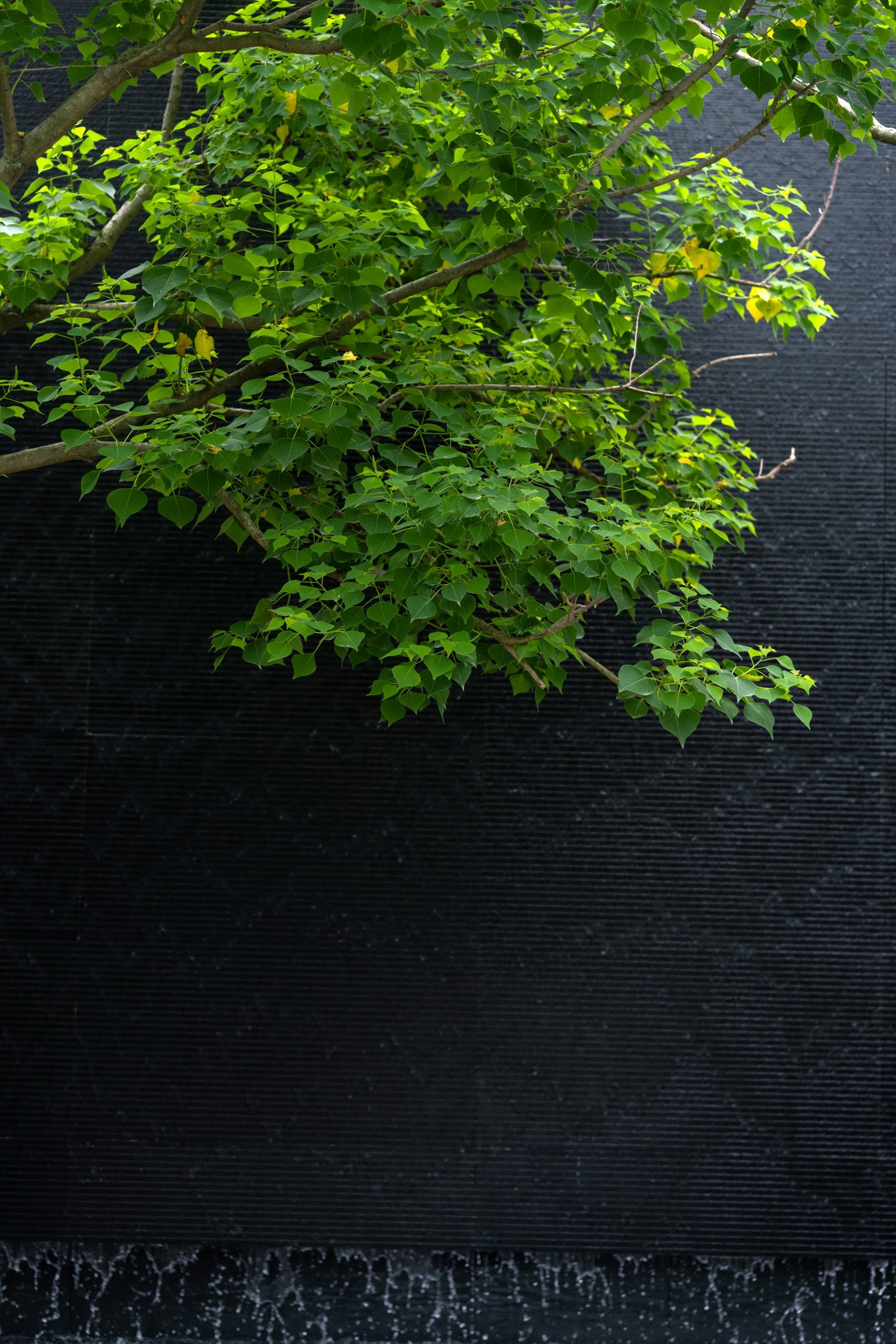 城投置地·鹭湾锦上映丨中国成都丨四川乐道景观设计有限公司-15