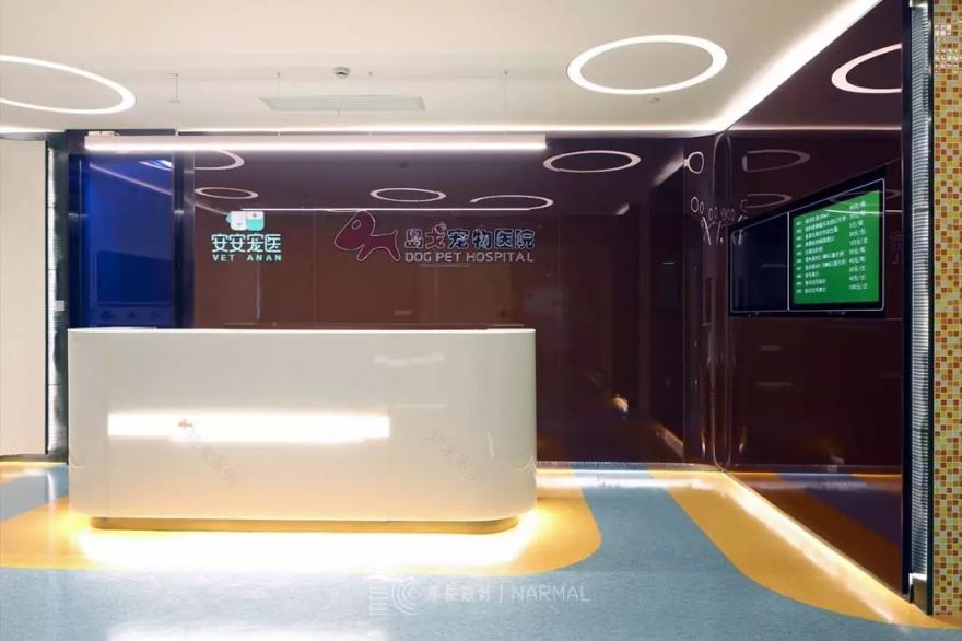 寻长·作品 | 萌宠看病记-33