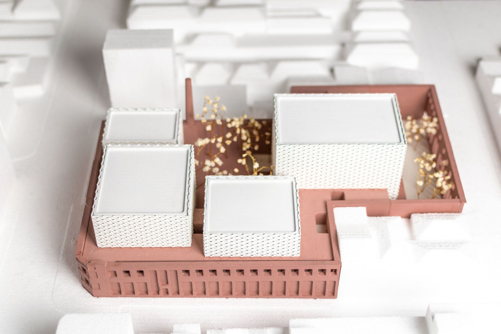 罐头厂外立面改造丨葡萄牙丨OODA-53