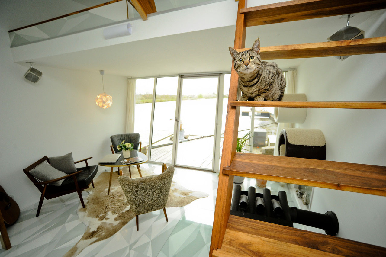 漂浮平台上的独特房屋丨德国-18