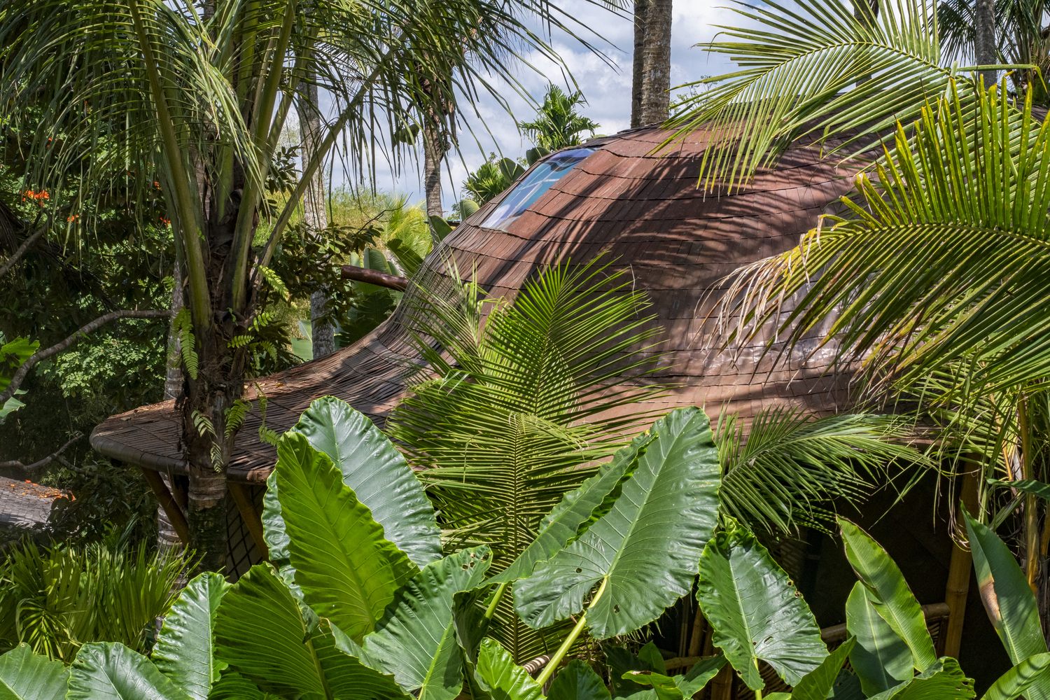 印度尼西亚树屋-15