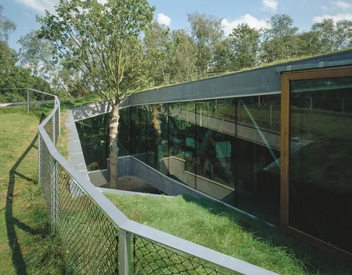 荷兰 Veluwe 国家公园茶馆丨SEARCH-30