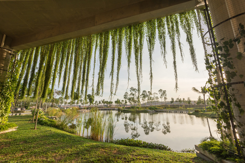 天穹丨马来西亚雪兰莪丨garis architects sdn bhd-8