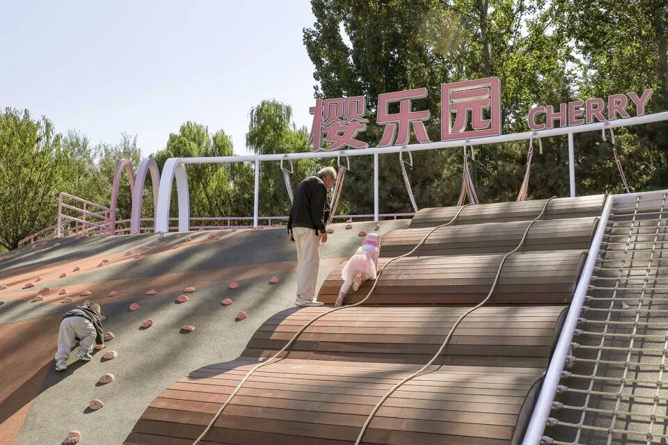 埊木设计｜花漾之境：北小河公园樱花谷环境改造提升设计-128