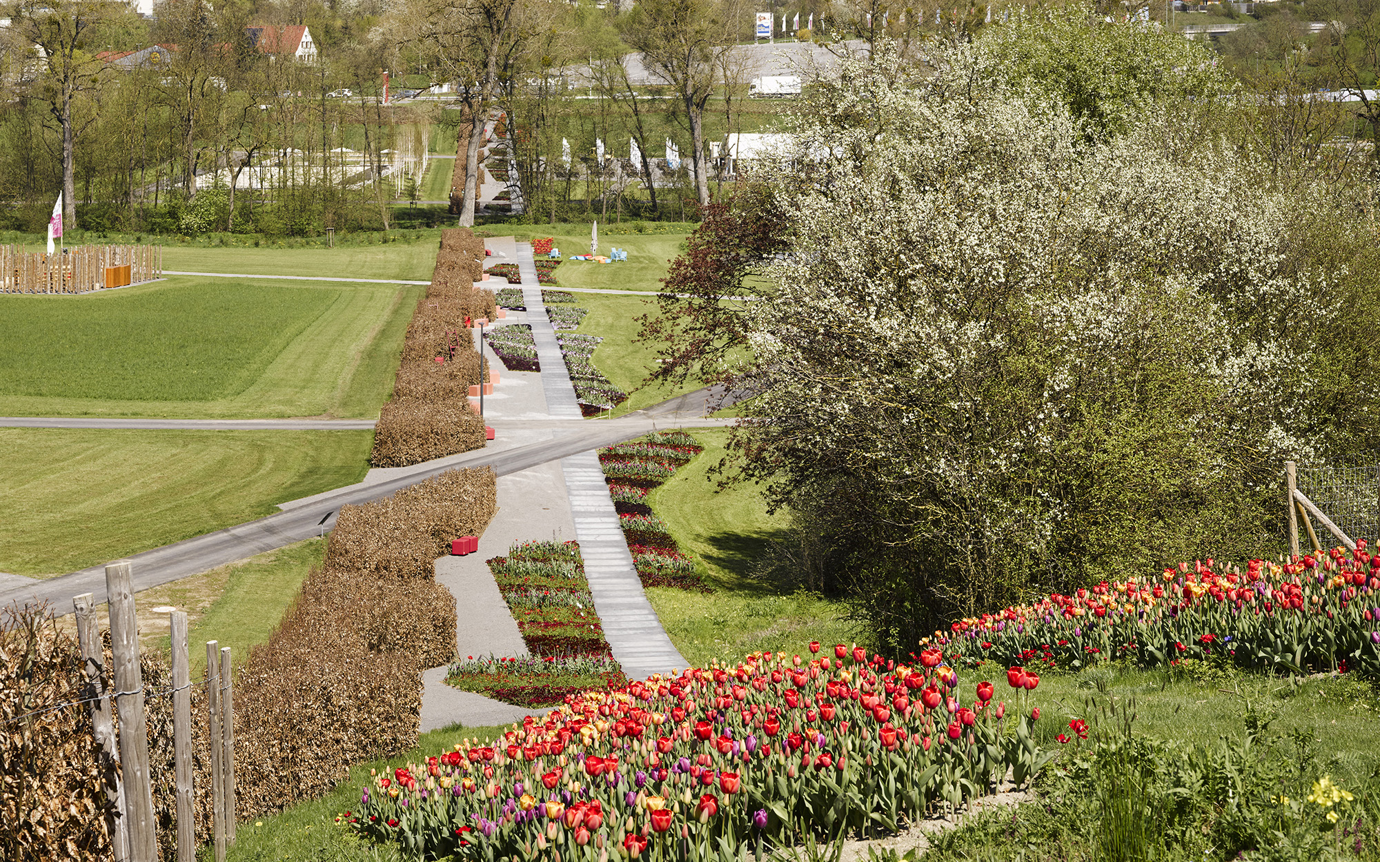 Öhringen 城市花园设计丨德国-14