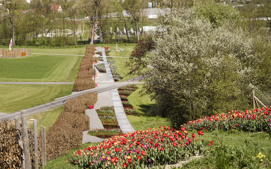 Öhringen 城市花园设计丨德国-14