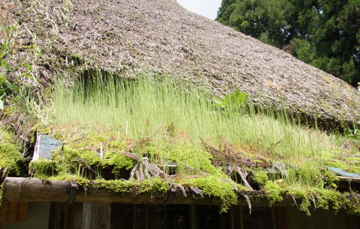 函館山プロジェクト:製材所と敷地丨究建築研究室Q Labo.与大学研究室-15