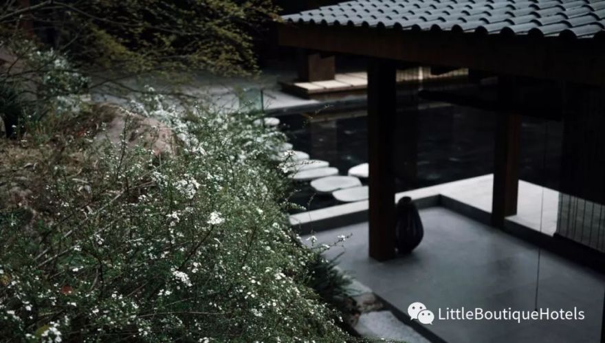 青城山坐忘森林酒店 | 一步一禅,一宿一悟的禅意度假胜地-41