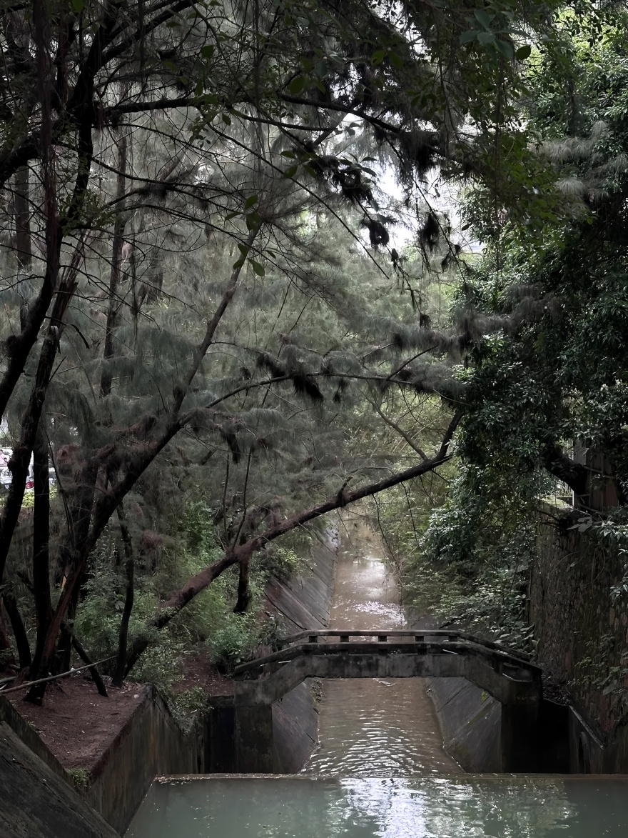 深圳茅台鉴藏馆丨中国深圳丨BLOOMDESIGN绽放设计-2