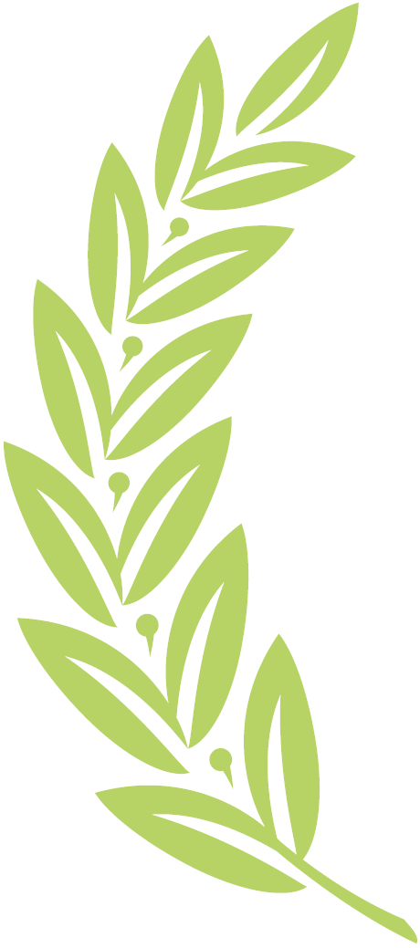 丽江天麓瑞吉苑二期,天鹅湖畔花园,颐安都会中央花园四区丨中国深圳丨AECOM 团队-5