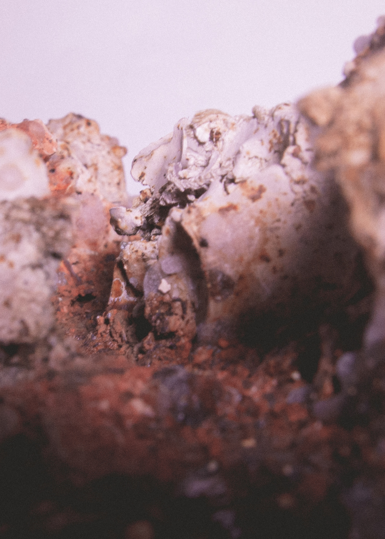 地形，生命形态丨未明确提及-10