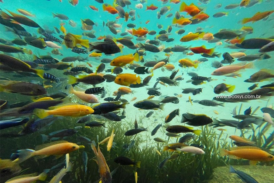 天然游泳池 – EAK-12