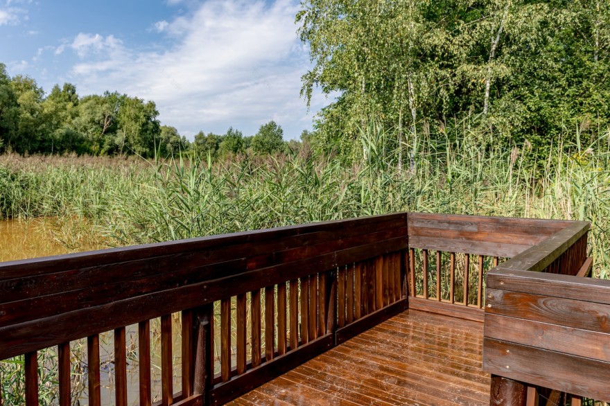 比托姆市亚当·密茨凯维奇公园木桥及栈桥修复丨波兰比托姆-11