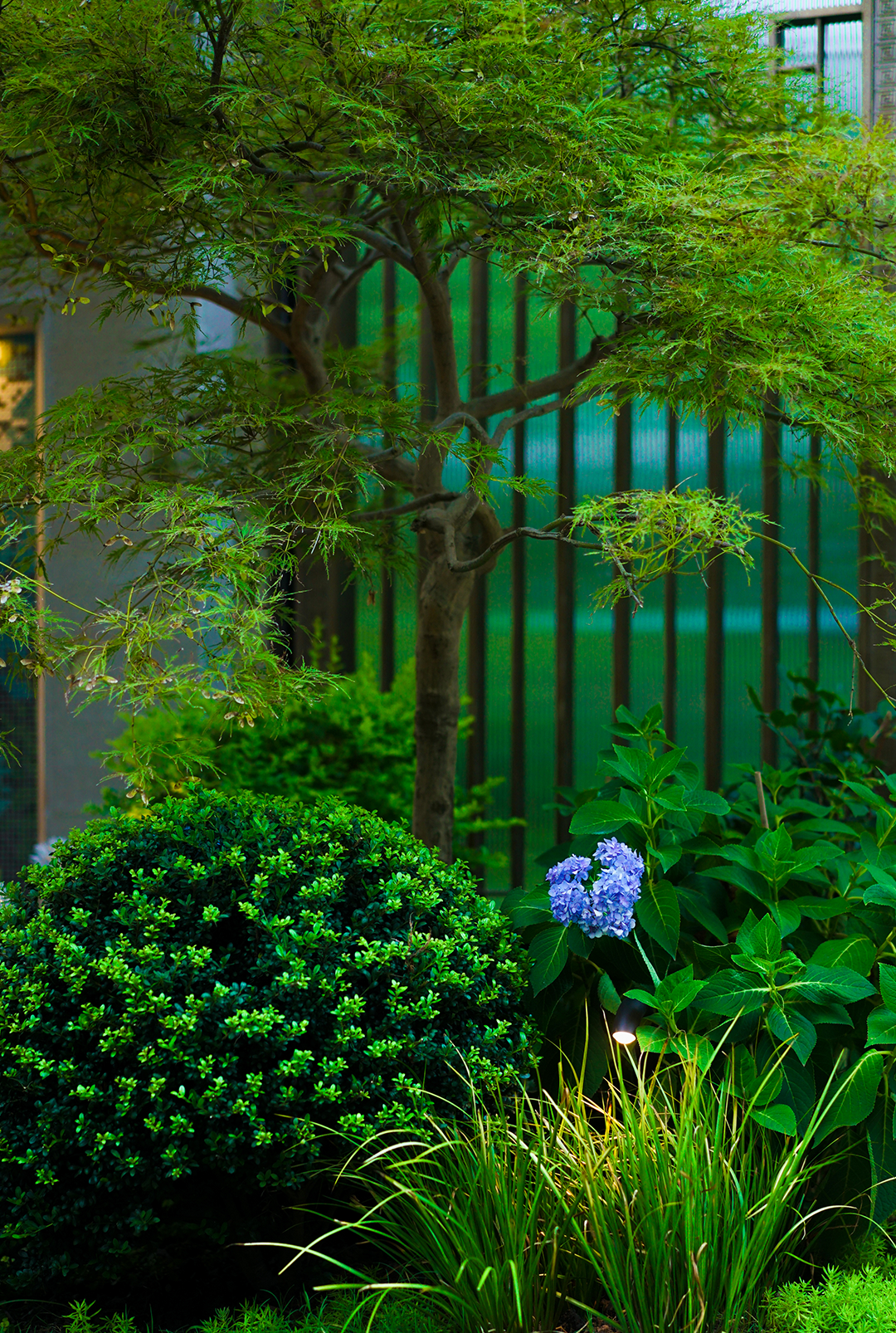 《悦趣园》丨中国上海丨上海东町景观设计工程有限公司-45