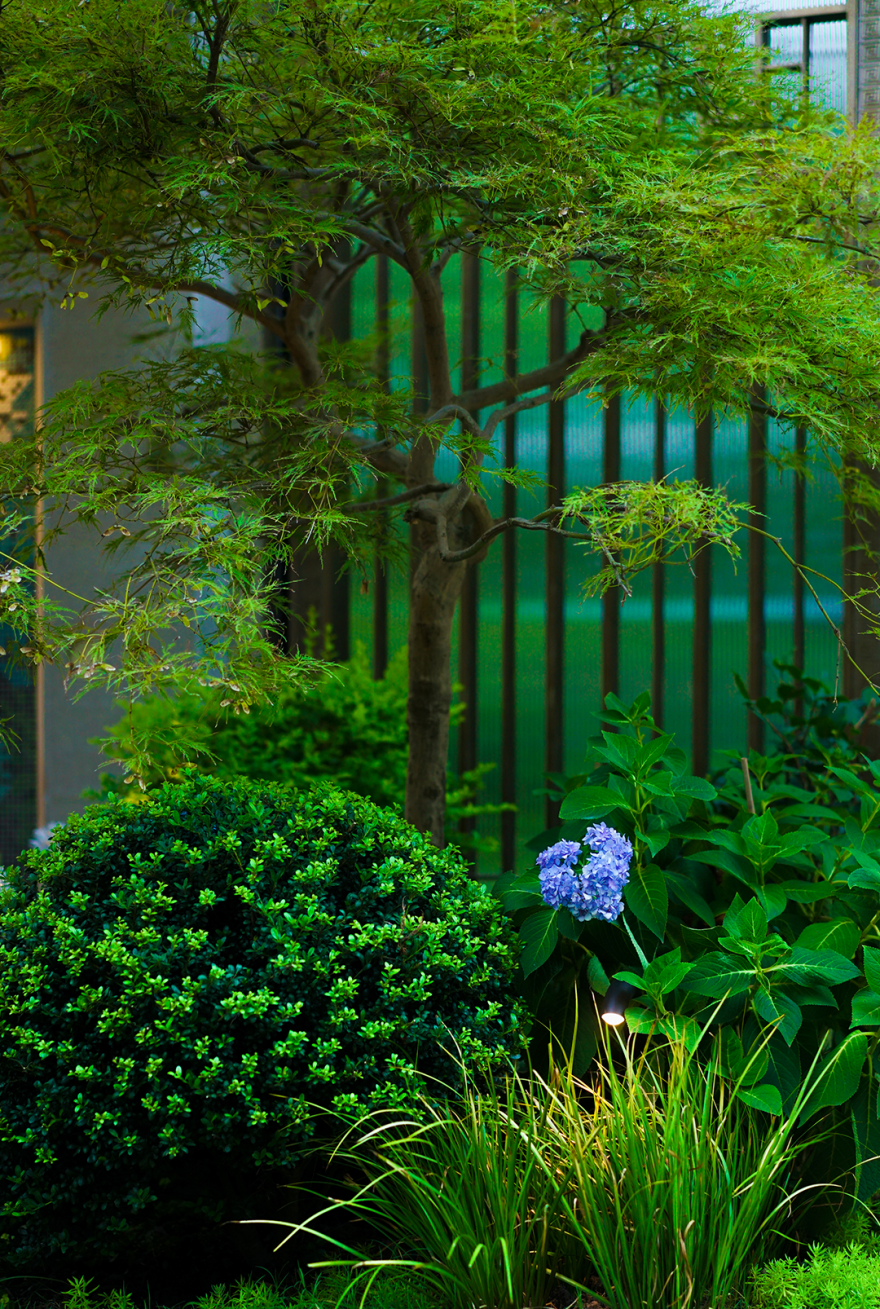 《悦趣园》丨中国上海丨上海东町景观设计工程有限公司-45