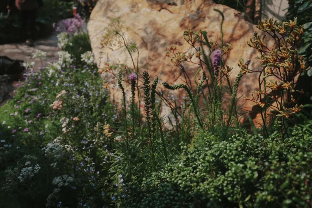 城市山丘|瑞安·武汉天地云逸-69