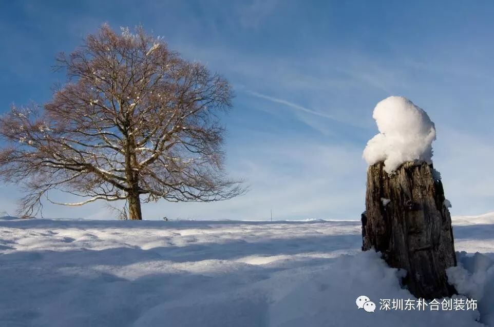 东朴合创室内设计培训中的创意与激情-4