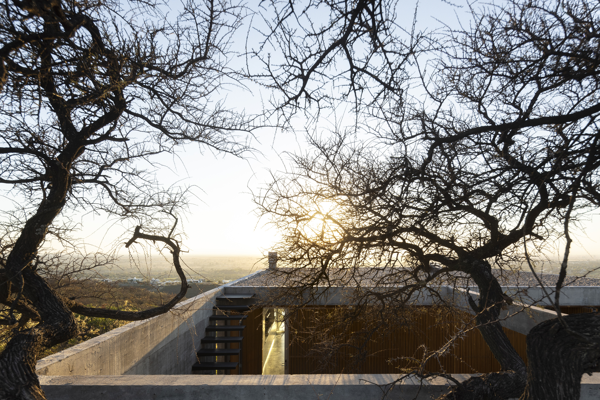 国会议员宅邸或下议院议员宅邸丨阿根廷丨Gastón Sironi,Valentina Machado-31