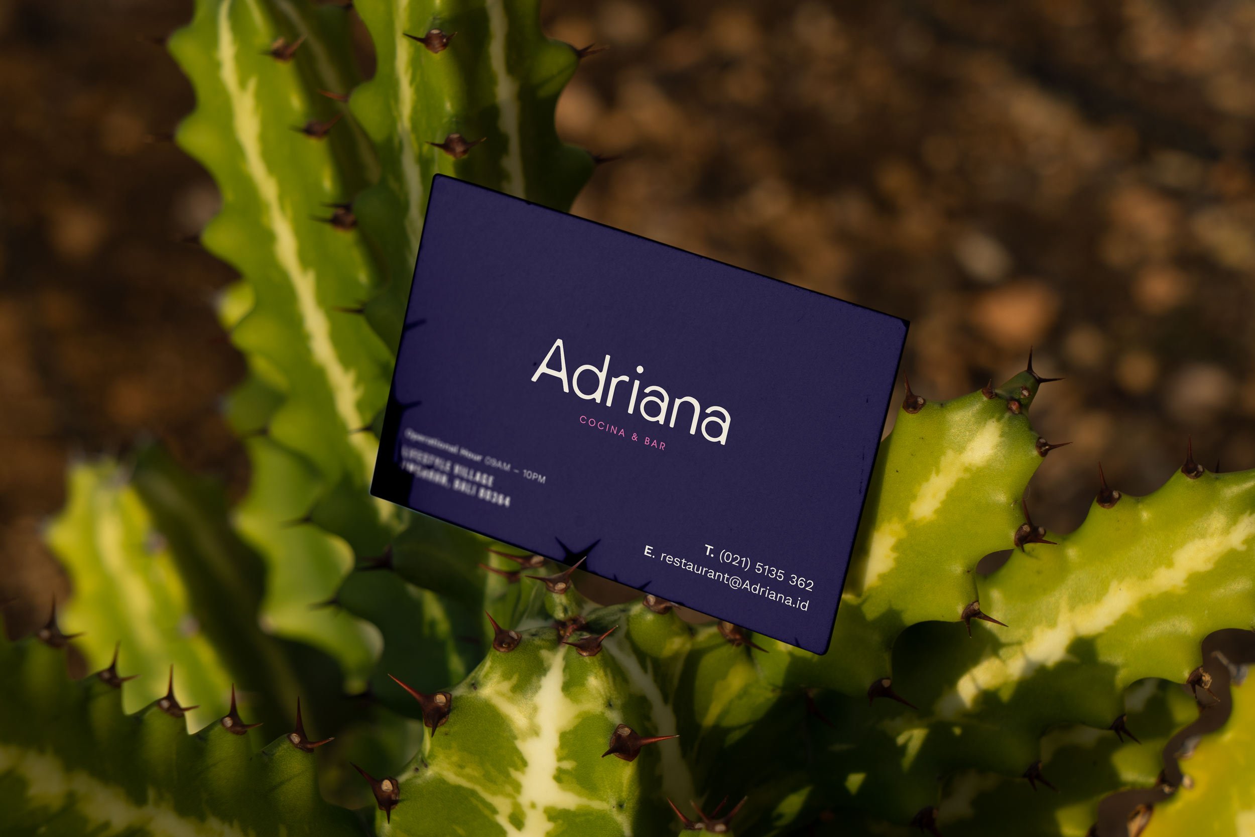 阿德里亚娜餐厅及酒吧丨印度尼西亚巴厘丨BrandWorks-43