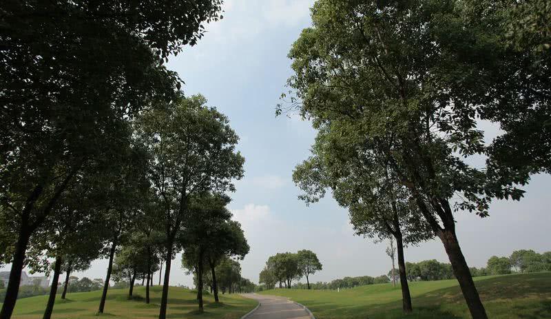 F1博而地高尔夫球场-3