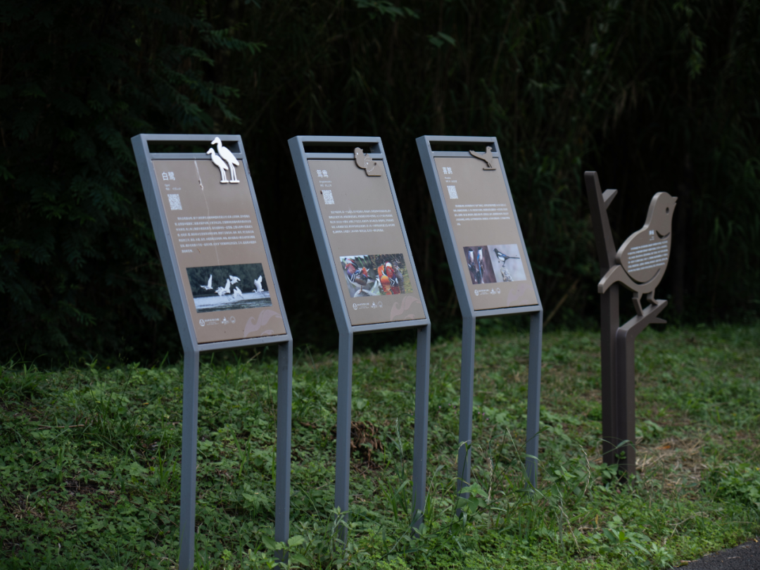 白鹭湾湿地公园自然探索基地丨中国成都丨上海柏熙标识有限公司-46