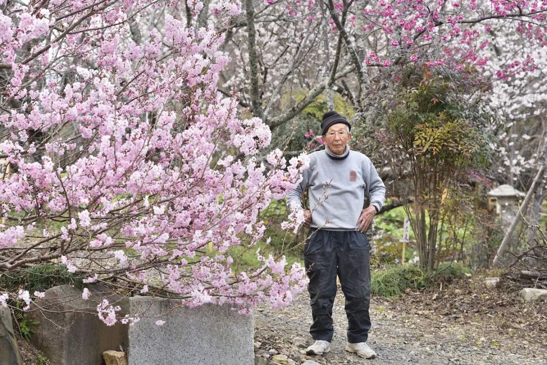 日本造园大师枡野俊明与植藤造园的东方美学-12