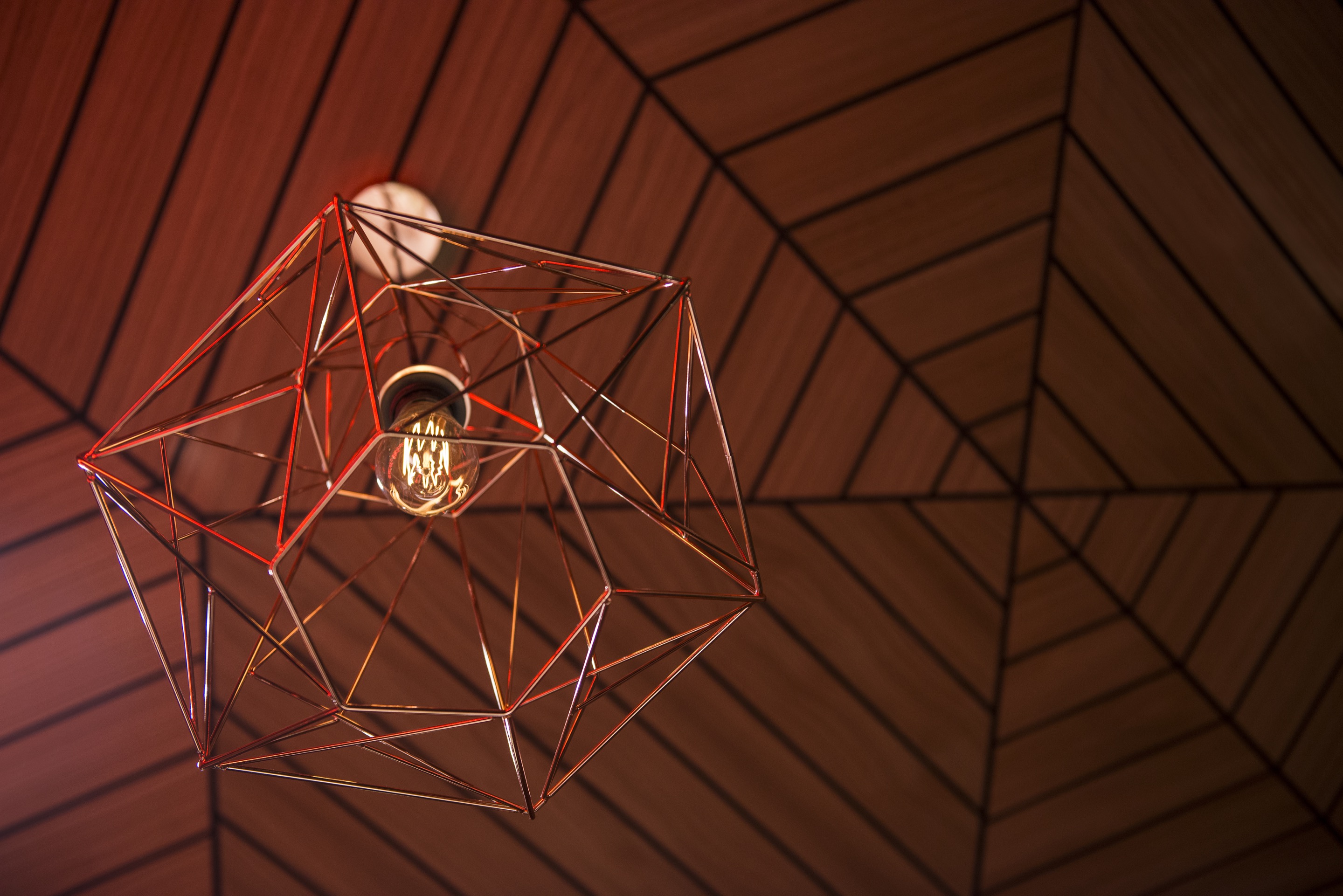 Don Pepe Menyecske 餐厅设计-40