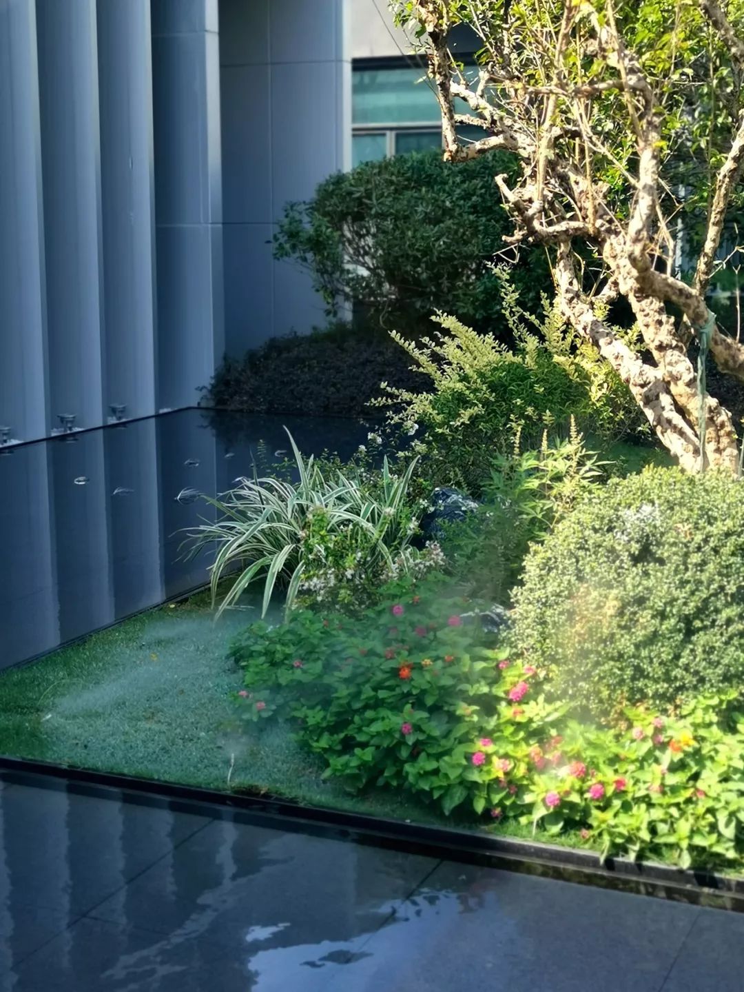 南昌力高君誉滨江 | 繁华都市中的秘境花园-46