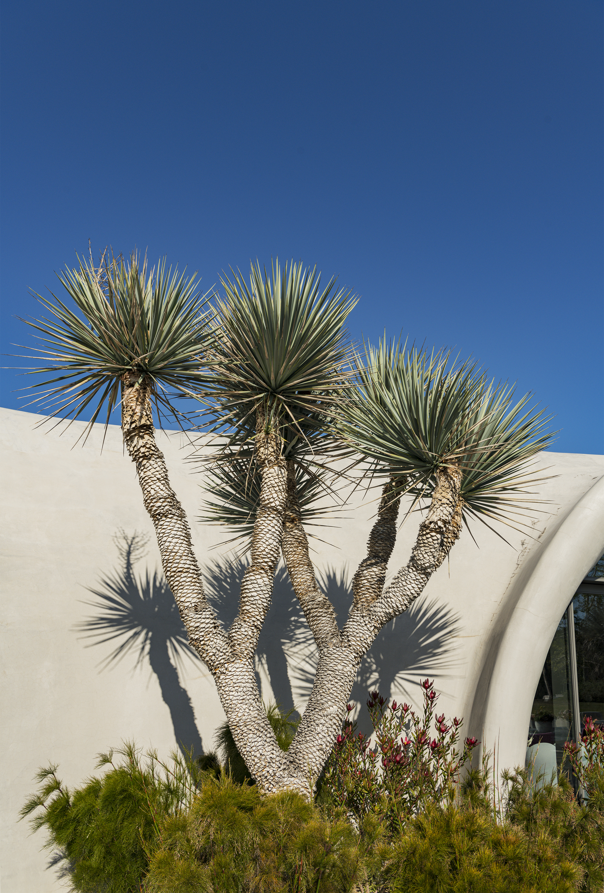 蚬壳住宅丨马里丨Binishells Inc.-34