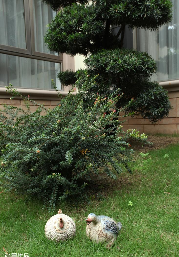 
广州恒大御景半岛2 -17