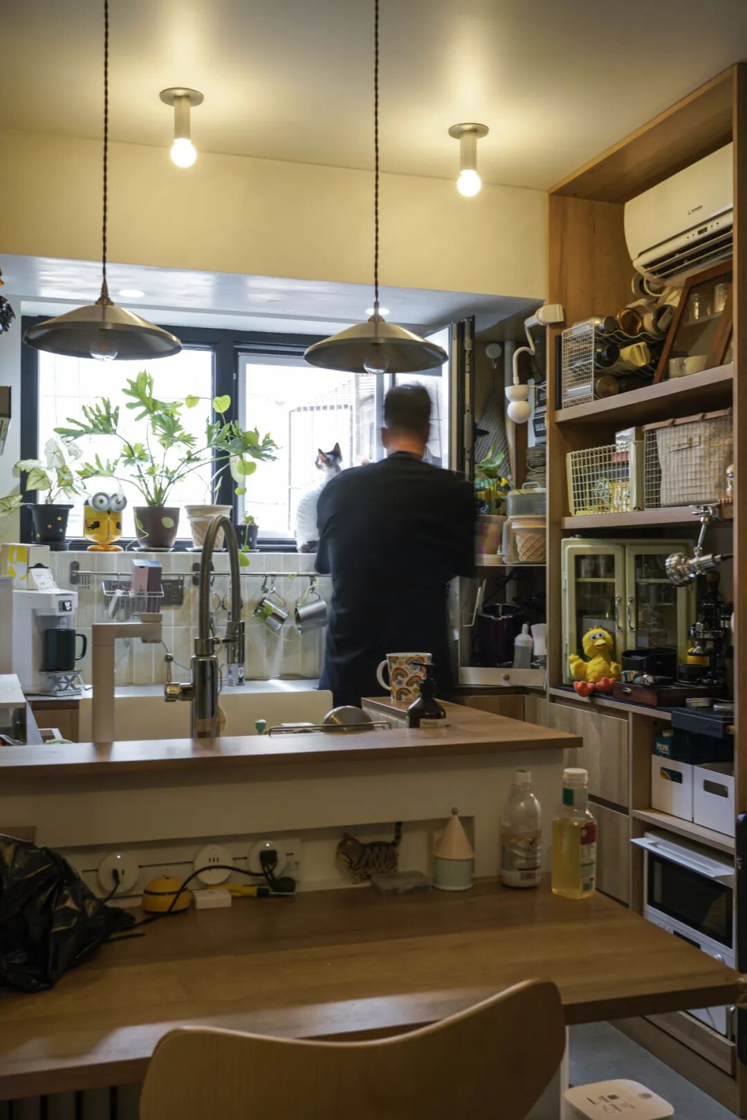 44㎡的治愈宇宙：一人四猫的共生乐园，小户型里的极致温柔-72