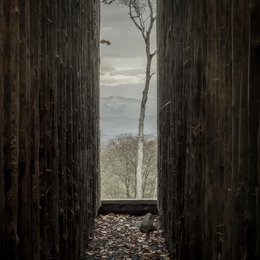 坐忘林酒店丨日本丨中山真琴-15