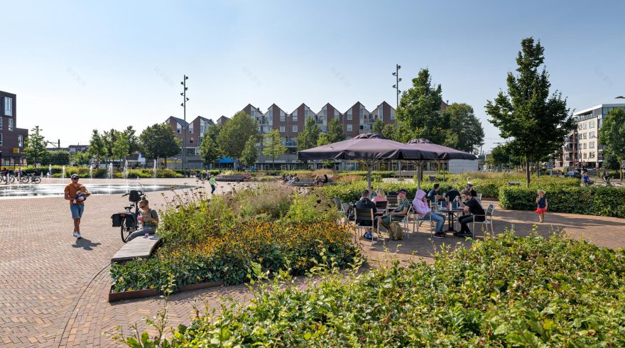 荷兰 Ede 市场广场绿色更新,打造多功能活动空间-17