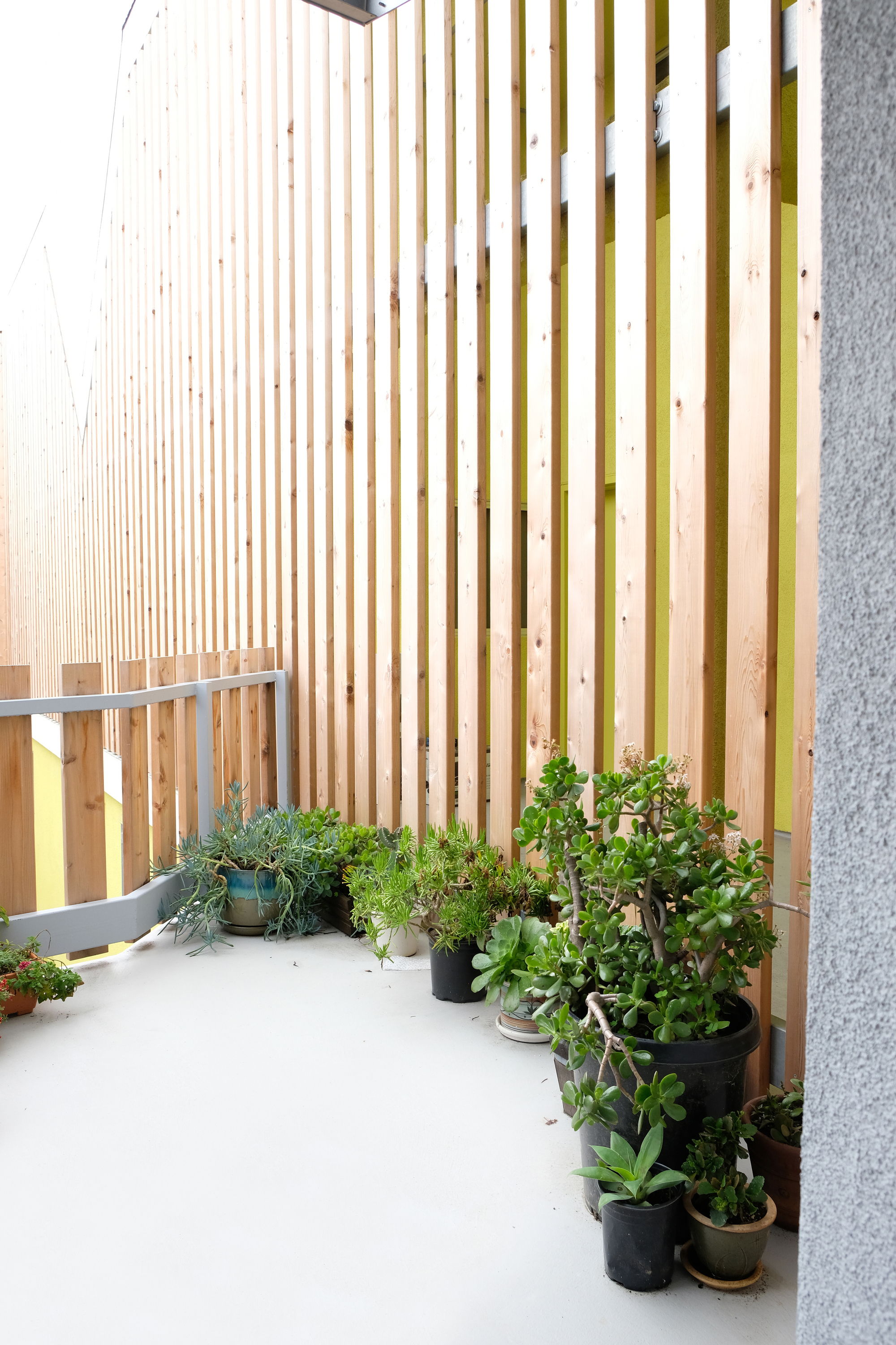 极乐田园公寓丨美国洛杉矶丨Warren Techentin Architecture-32