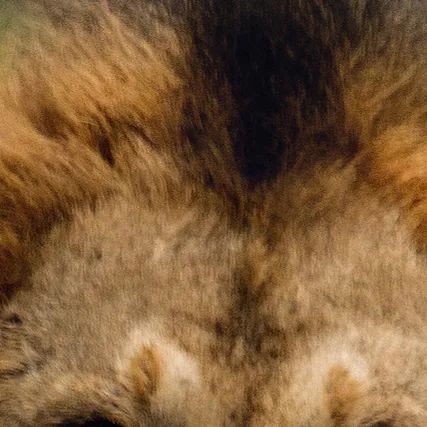 角马设计十周年文旅项目丨中国中卫-8