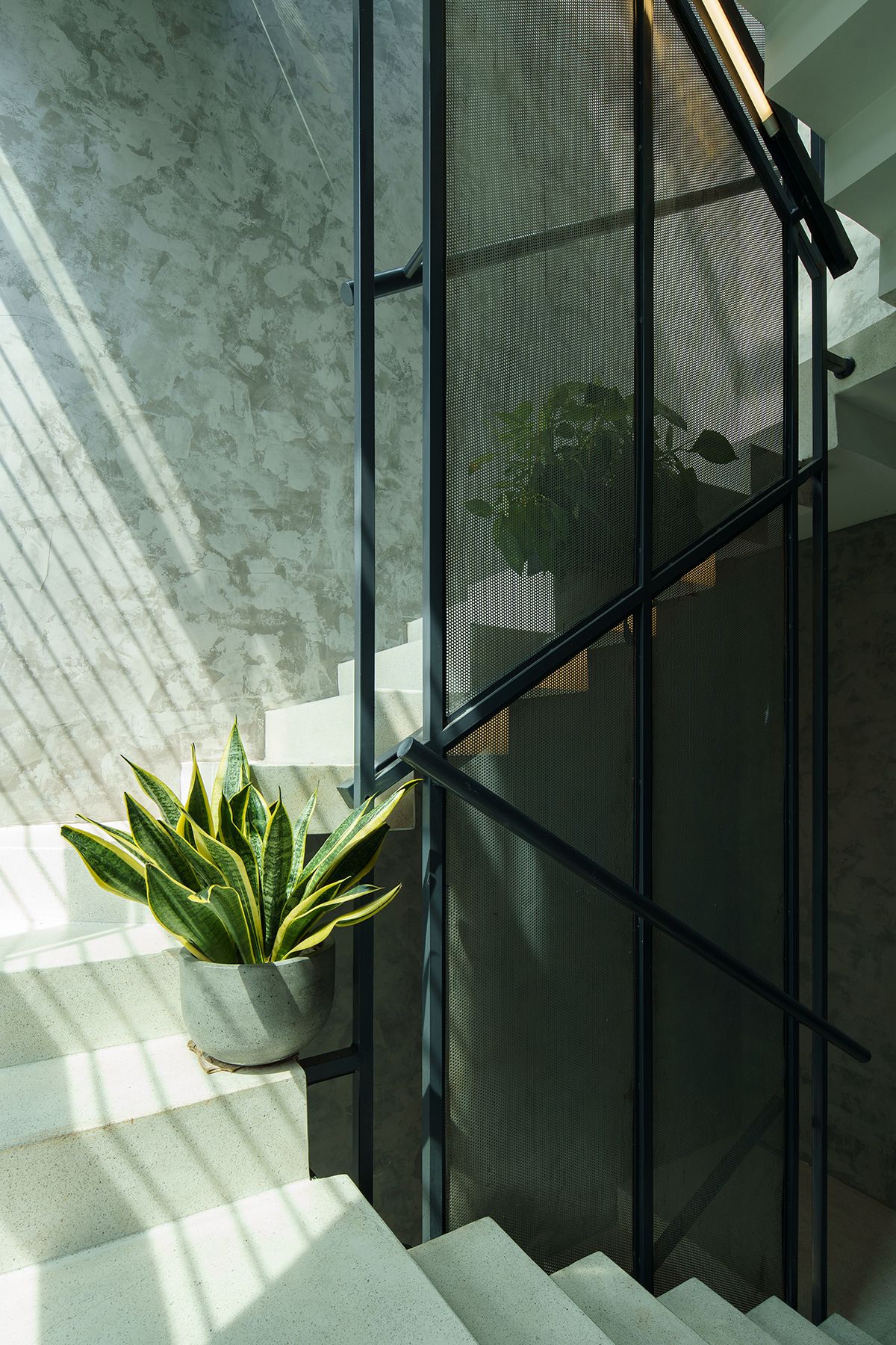 The Falls House - Không gian gợi cảm xúc từ sự kết hợp vật liệu, mang hơi thở thiên nhiên trong lành | Akitephile-14