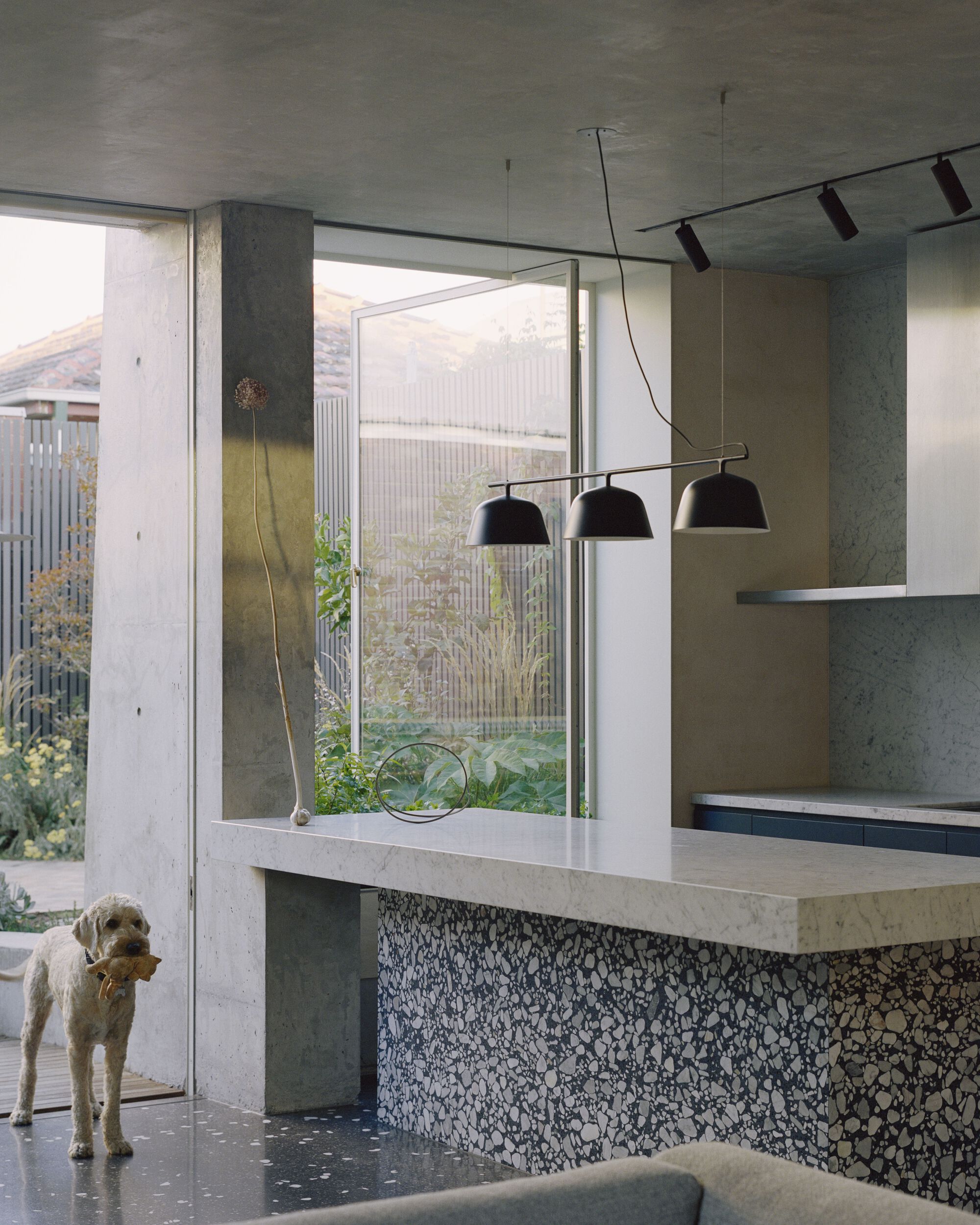 南墨尔本住宅丨澳大利亚丨Pandolfini Architects-18