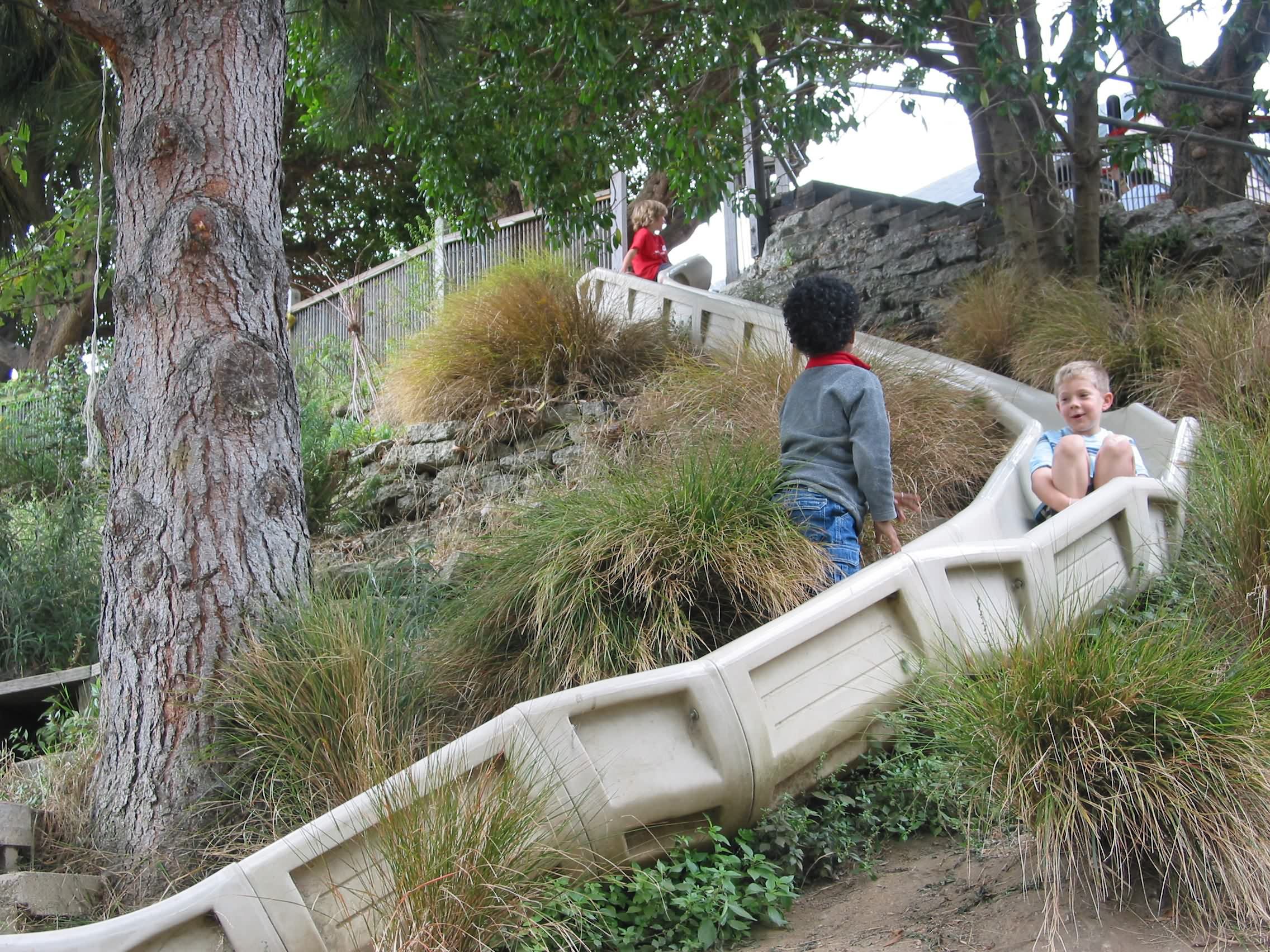 旧金山学校冒险花园丨美国丨米勒公司-14