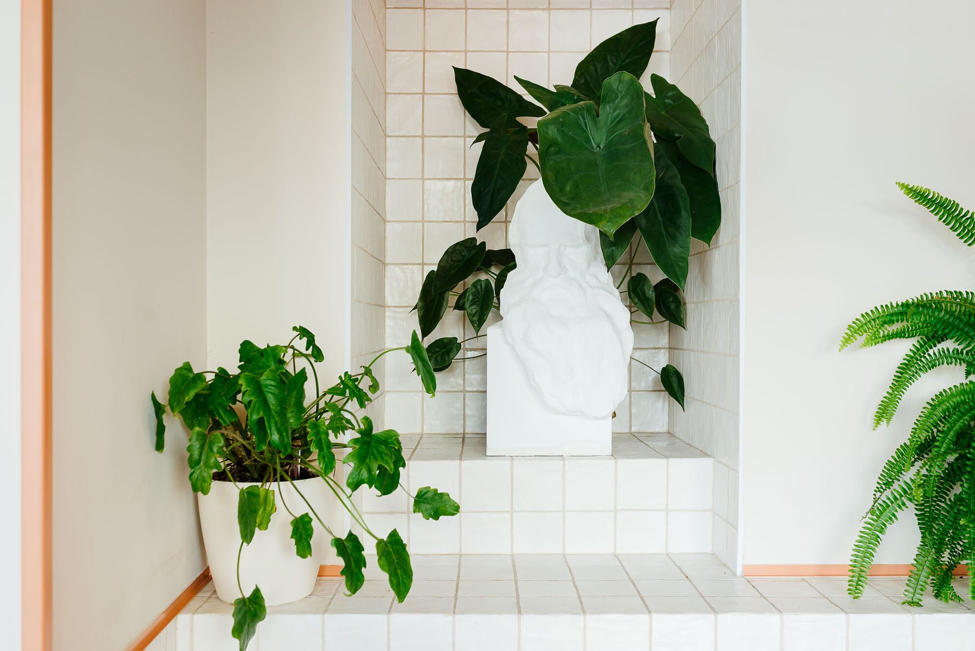 Tolstoy 素食餐厅丨奥地利维也纳丨studio8 lab-26