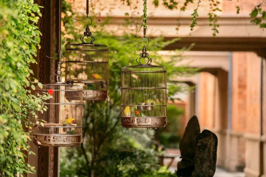 嘉佩乐酒店丨多个设计公司-115