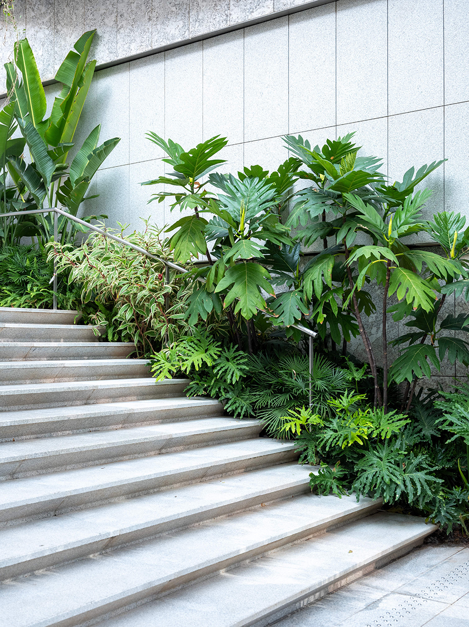 深圳湾万象城二期丨中国深圳丨iPD,grant associates,OVAL等多家-182