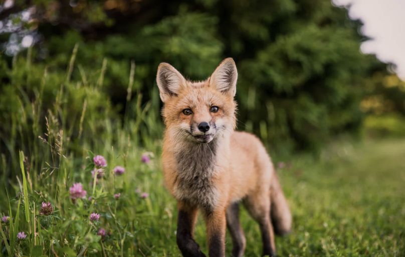 让我依依不舍的，不止你的温柔-75