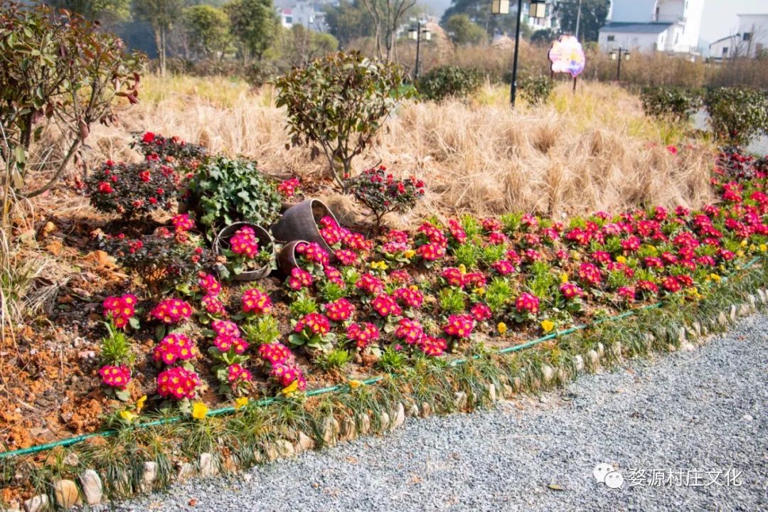 婺源碧山村亲子游新去处,原生态乡村乐园的完美逆袭-99