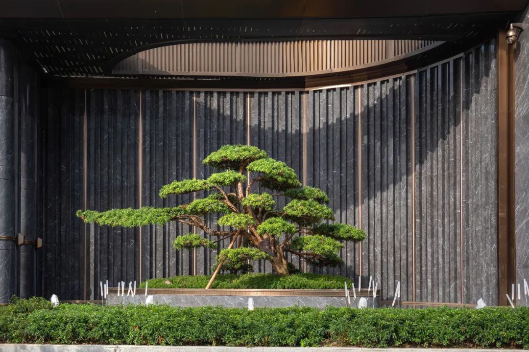 中国电建·国宾华曦府丨中国成都丨基准方中建筑设计股份有限公司-44