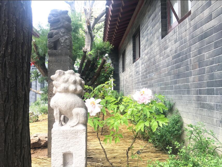 赵府四合院 | 大话西游与现代摇滚的奇妙融合-2