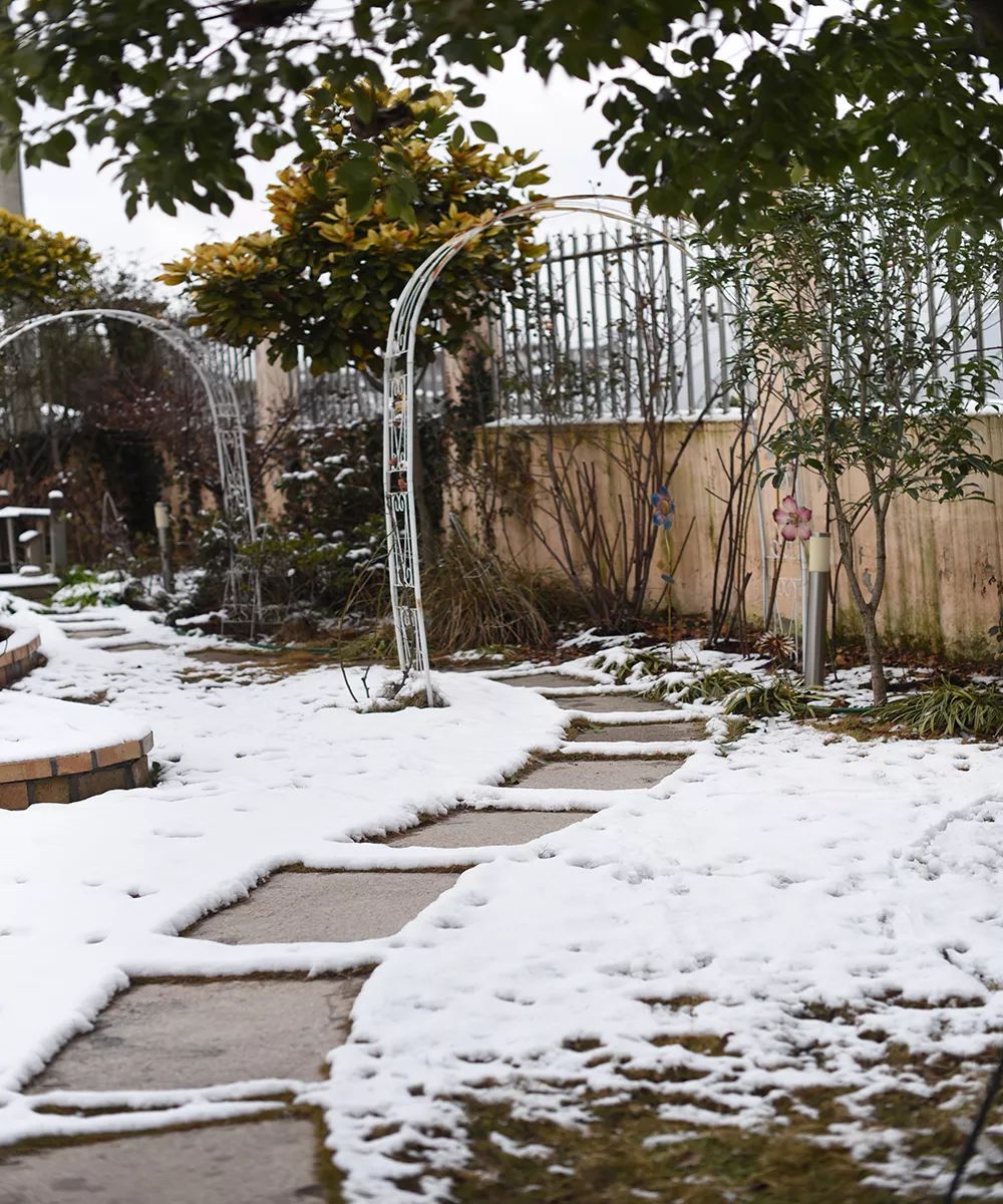 78岁爷爷改造荒废院子，为孙女建起一座花园-28