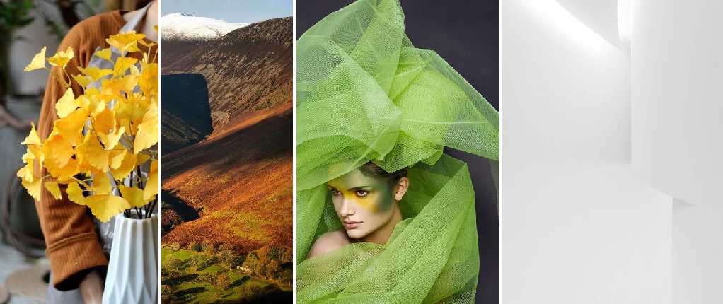 "生态科技"办公空间,演绎现代简约之美-3