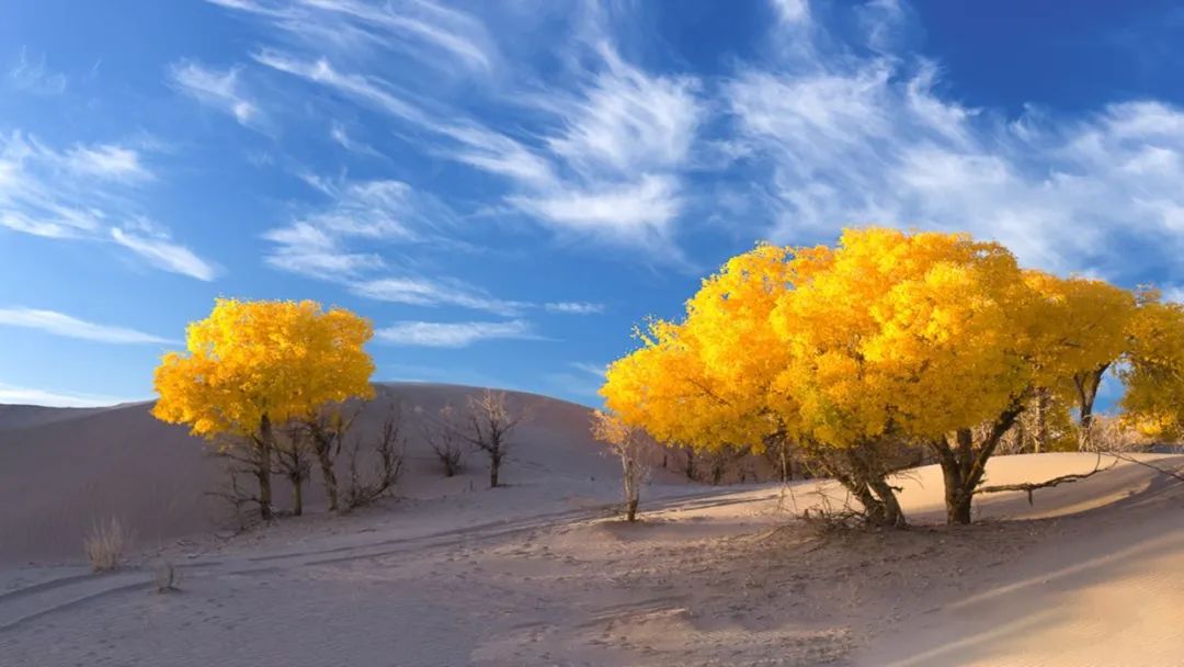 九毛九西北菜(跑马场店)丨中国广州丨永创设计-11