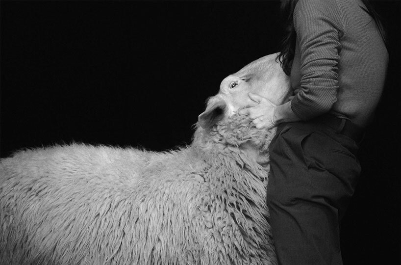 STEDELIJK MUSEUM EXHIBITS FORM丨意大利丨意大利设计工作室-16