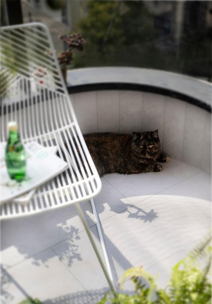 意森空间设计丨平层丨设计师家到底有多牛？是我想pick的家！-5